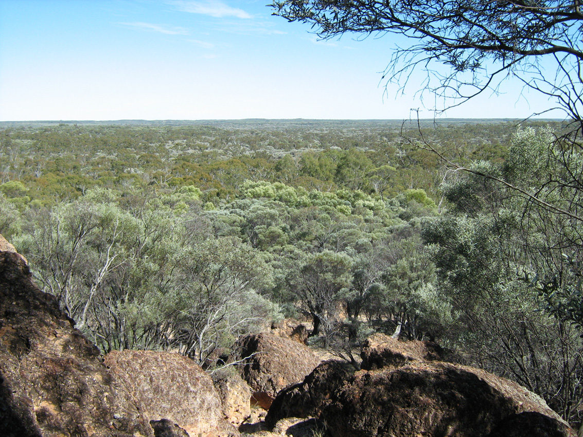 Idalia National Park.